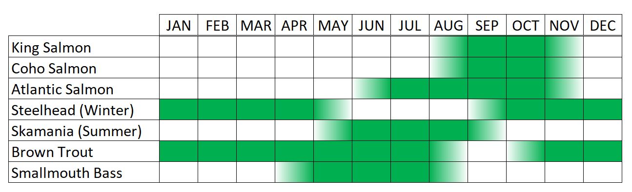 Salmon River Fishing Calendar
